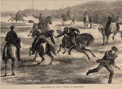 Fox hunting, polo and other horse prints